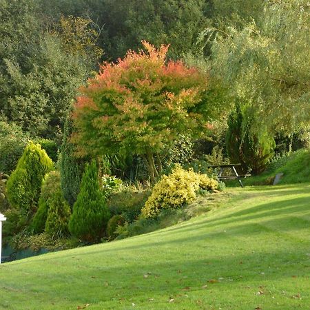 Bryn Hebog Bed & Breakfast Carmarthen Eksteriør bilde