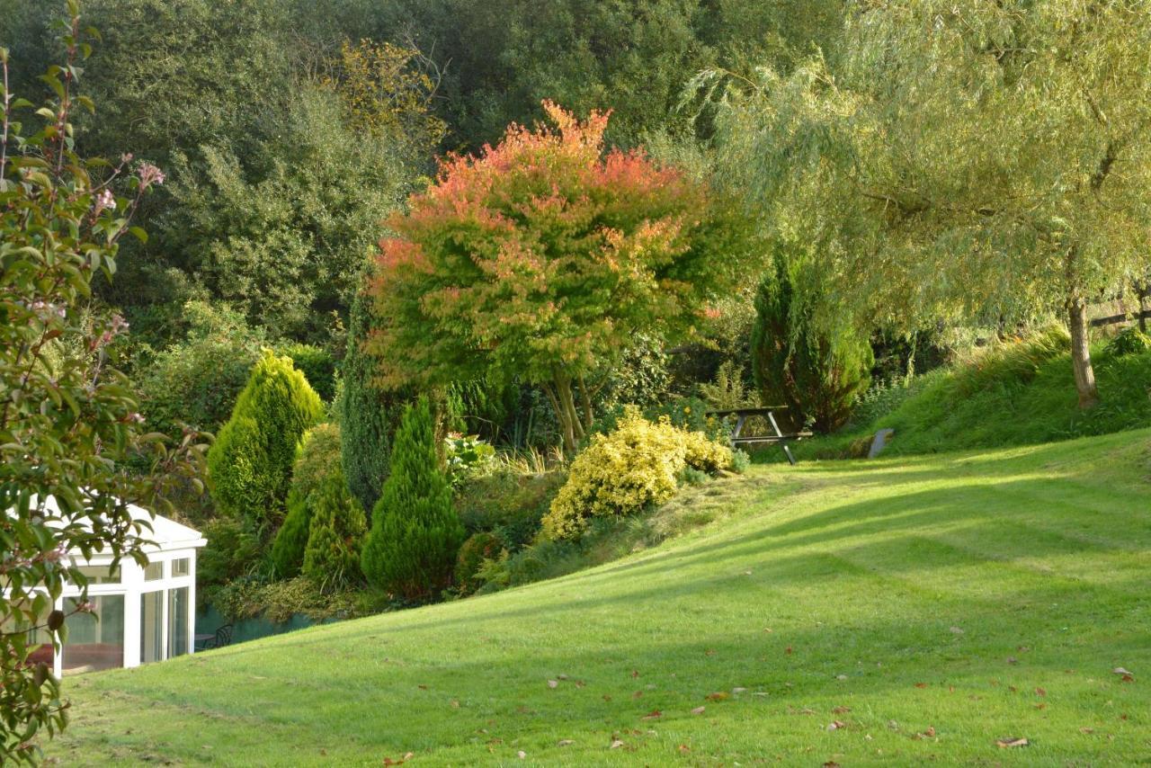 Bryn Hebog Bed & Breakfast Carmarthen Eksteriør bilde